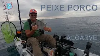 PEIXE PORCO - Pesca no Algarve com Nuno Mor&atilde;o