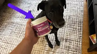 Furrolika #Multivitamin for #Dogs - Dog Vitamins and Supplements with Glucosamine, Digestive Enzymes