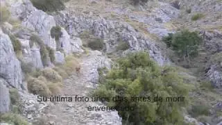 HOMENAJE A MI PERRO PANOCHO. CAC&Iacute;N