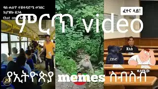 Ethiopia  meme  video   ስብስብ  #funnyvideos #foryou #typebeat #😂