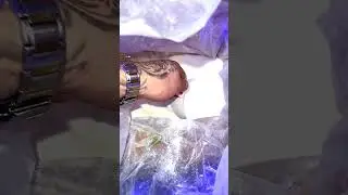 Come and do a water change with me! #fishaquarium #fishaquarium #nature #ocean #fish#fishtank