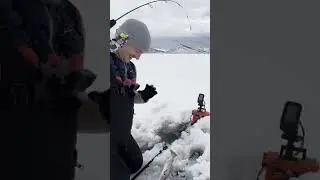 Scofield reservoir UTAH ICE fishing 2023