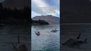 Never letting him book activities again 😩 📍 Hydroattack, Queenstown, New Zealand