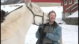 Ny ridehall vil blant annet brukes til dyreterapi