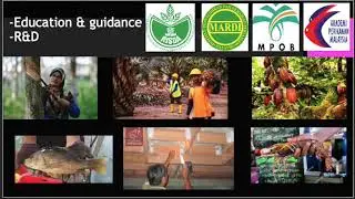 Ways to improve food production