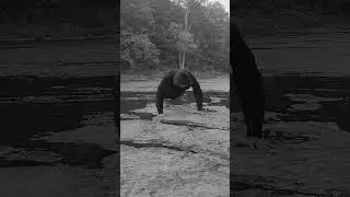 love ?  #motivation #discipline #viral #fyp  #calesthenic #mindset #pushups
