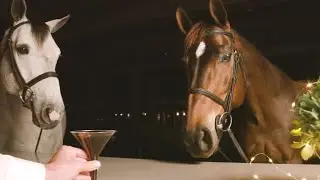 Positude - the All Natural Horse Supplement to Improve Your Horse's Behavior