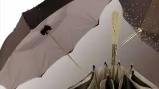 Double canopy umbrellas