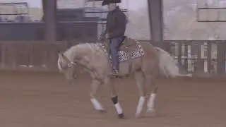 Bud Lyon: Counter Canter