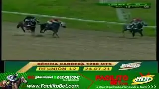 10ma. Carrera | Big Tito | Hip&oacute;dromo Nacional de Valencia | Reuni&oacute;n 12