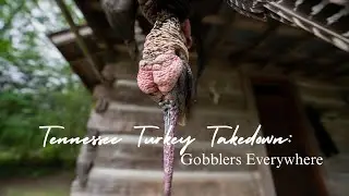 Tennessee Turkey Takedown &ndash; Gobblers Everywhere!  RootedTelevision.com