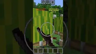 Oğluma nasıl g&uuml;zel karpuz se&ccedil;ebilcehini g&ouml;steriyorum #minecraft #shorts #keşfet #komik montaj