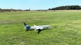 Erster Flug Freewing Al37