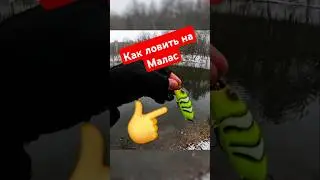 Как ловить на воблер Малас. #fishing #рыбалка #рыбалкавидео #воблернащуку
