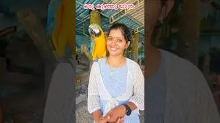 ഞങ്ങളുടെ കുഞ്ഞിക്കിളീടെ കൂടെ ഒരു കുഞ്ഞു യാത്ര