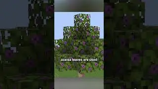 azalea tree