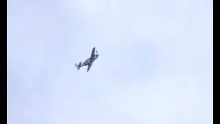 P-51 Mustang - Old Warden 03/08/2008