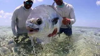 TCO Fly Shop - The Hatch Iconic Reel Is Almost Here...