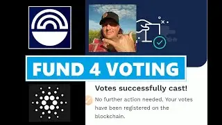Project Catalyst Fund 4 Voting Tutorial - Build Cardano Together