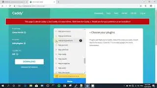 How to install Caddy+shadowsocks-libev+v2ray-plugin on Debian 10