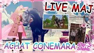🌸🦊LIVE VTUBER FR 3D🦊🌸 - Découverte des Nouveaux Conemara ! - [Star stable Online]