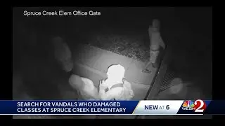 Surveillance video shows 4 suspects damage Port Orange elementary school
