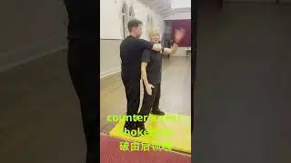 Master the Art of Escaping a Rear Chokehold: Essential Chin Na Techniques #chin_na #martialarts
