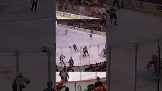 #arizonacoyotes #shortsvideo #nhl #loser