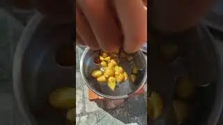 @ПОНЧИКИРУЛЯТ , mini chef