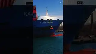 TCE EGE port Turkey🇹🇷 | Turkon Line KAAN KALKAVAN |