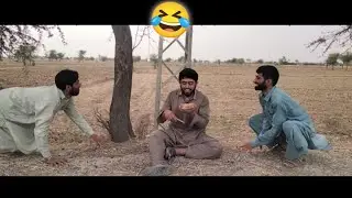 HARAMI DOST || حرامی دوست || Fun for you || Free Maal
