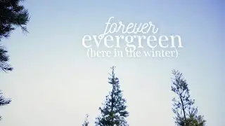 Hannah Kerr - Forever Evergreen (Here in the Winter) [Official Lyric Video]