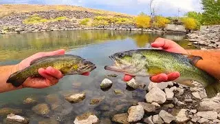 LARGEMOUTH + SMALLMOUTH BASS CATCH & COOK TASTE TEST!!!