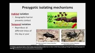 Dec 11th - Speciation and Population Dynamics
