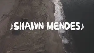 Shawn Mendes - Treat You Better & Mercy -  [Lyrics Video]