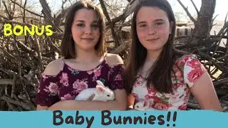 Critter ED TV Baby Easter Bunny Bonus!
