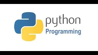 Python while loop