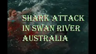Australia shark attack victim identified as schoolgirl Stella Berry