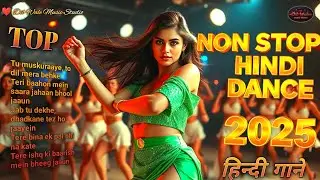 🔥 Non Stop Hindi Dance Party 2025 | New DJ mix Item Songs | Dil Wale Music Studio 033 💃 High Energy