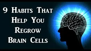 9 HABITS THAT HELP YOU REGROW BRAIN CELLS | Brain Cell Regeneration Explained | Grow New Brain Cells