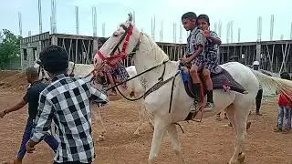 Horse Riding in Our Phoenix International School Shiggaon 😍