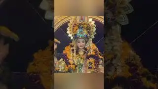 माय भवानी🙏🥹🚩    #littlevlogger #vikrolichidurgamata