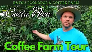 Costa Rica ORGANIC COFFEE FARM TOUR | Batsu Ecolodge & Artisanal Coffee Farm | San Ramon Costa Rica