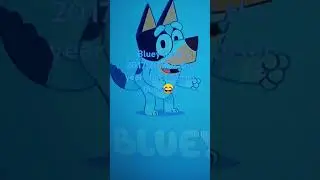 Bluey intro 2017