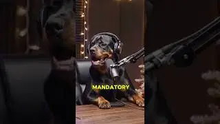 Funny Dog Podcast 😆 Why Dogs Dig EXACTLY Where You Say &ldquo;No&rdquo; 😂 Paws On Air #podcast  #rottweiler #dog