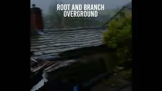 1. Overground: The Ladybird - The Stone Frigate - The Overground Reel