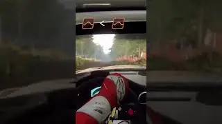Trying to manage a Porsche 911 RGT RALLY SPEC in Poland