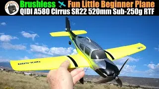 Fun Little Brushless Beginner Plane | QIDI A580 Cirrus SR22 520mm Wingspan RTF