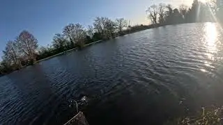 Fishing quill buzzers on Lakemoor at Ellerdine Lakes