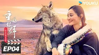 ENGSUB【FULL】重返狼群 10周年特别纪念版 EP04 扎西牧场 | 🌟狼王格林催泪后续 | 李微漪 / 亦风 | 纪录片 | 优酷华语剧场